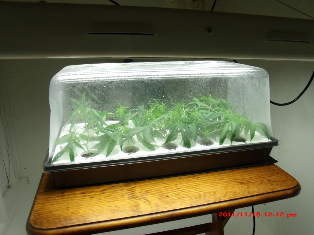 GEDC1269.jpg