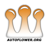 autoflowernetwork.community.forum