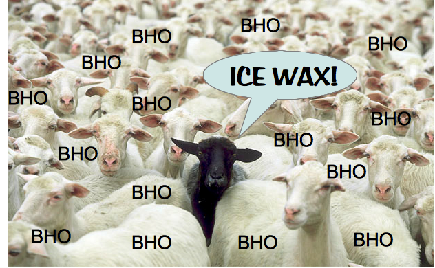 blacksheepfinal.png