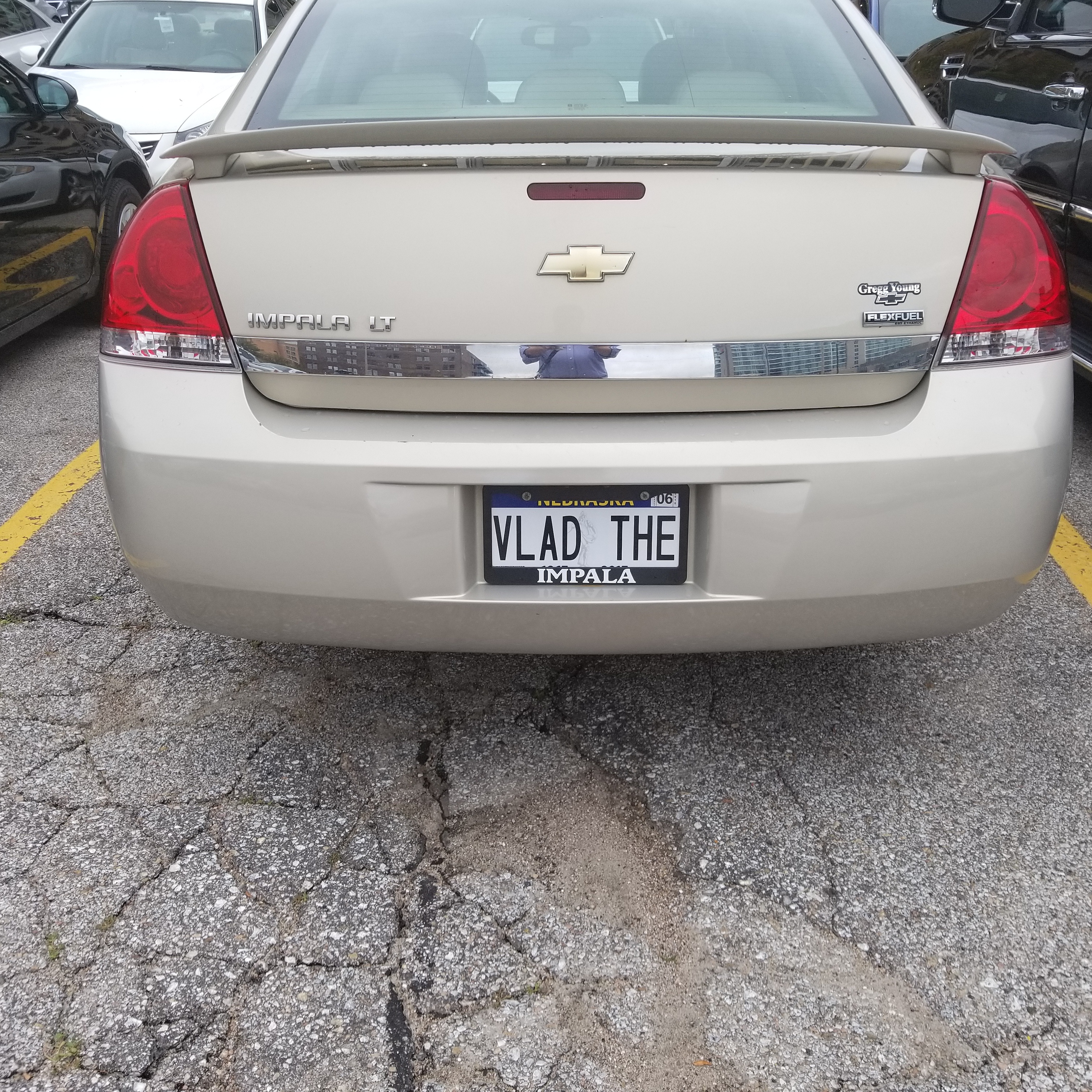 m6l0ctyxq3gz.jpg