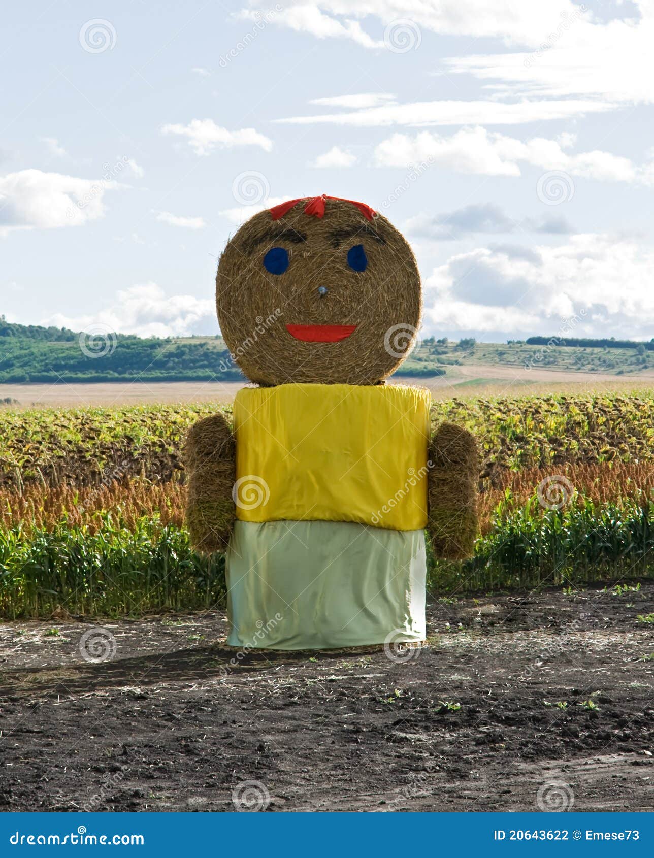 straw-woman-staying-field-20643622.jpg