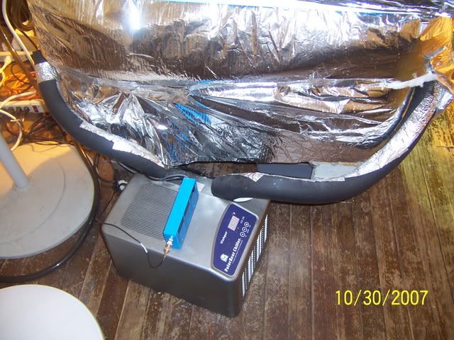 000_1775.jpg