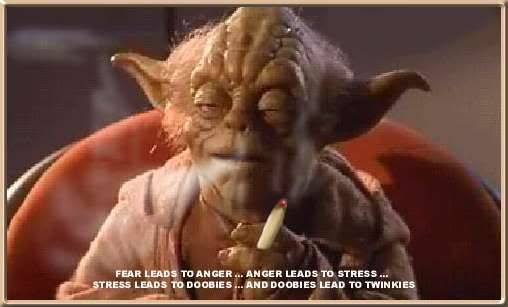 coolyoda.jpg