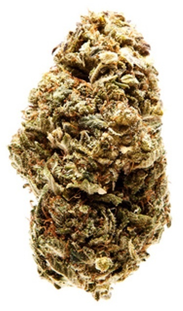 www.allbud.com