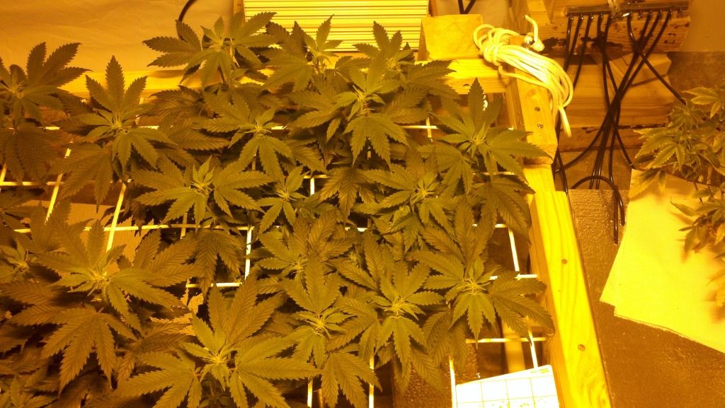 2012-01-04_20-45-26_163.jpg