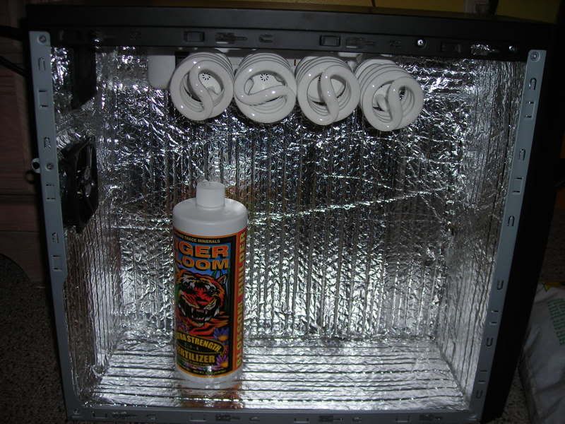 DSCN0250.jpg