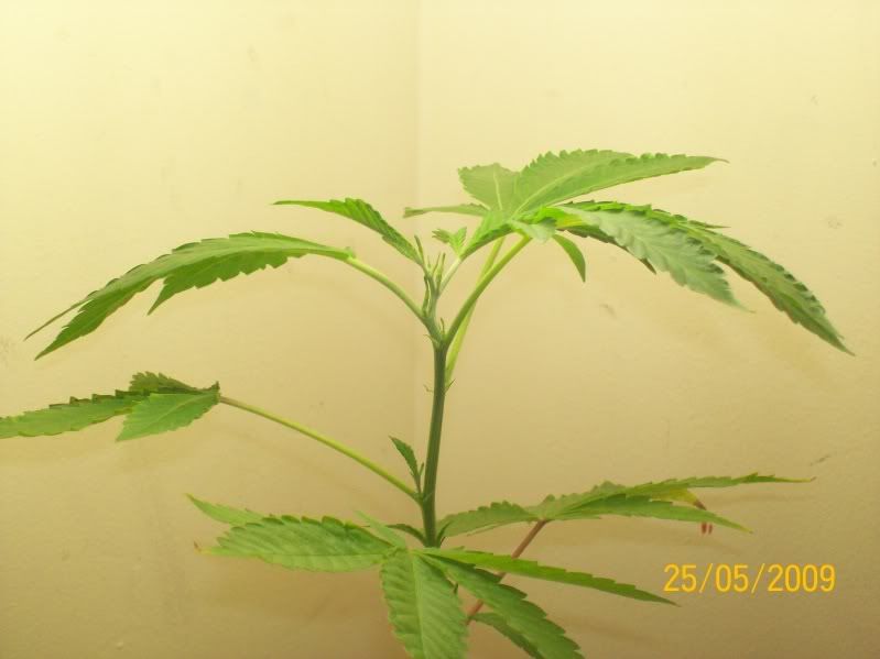 904e2495.jpg
