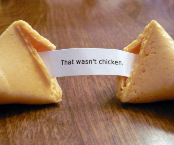 Unfortunate-Cookies-1674.jpg