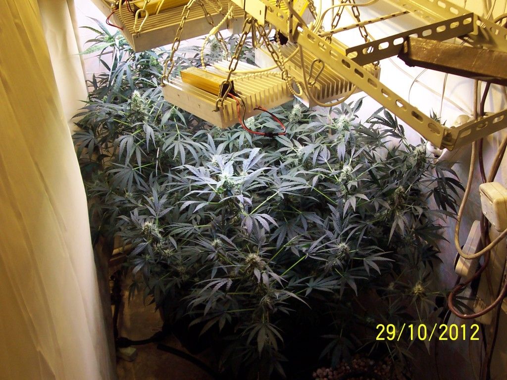 100_2805.jpg
