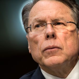 30-wayne-lapierre.w330.h330.jpg