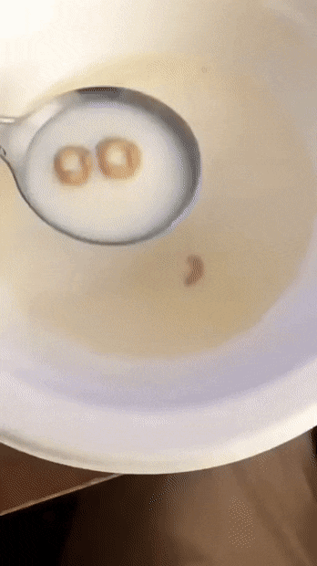 1649358030_1.gif