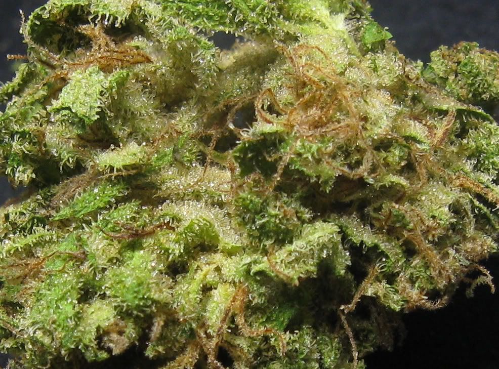 Strawberrygoosupermacro.jpg