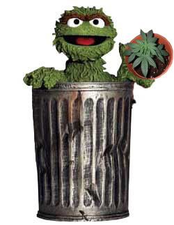 oscar1.jpg