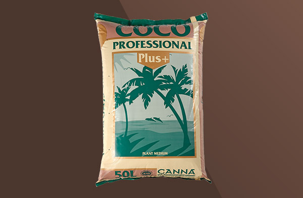 www.cannagardening.com