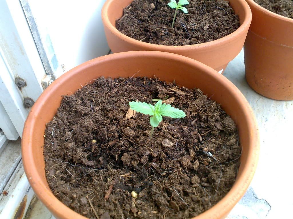 09042008372.jpg