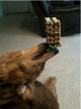 gifs_24.gif