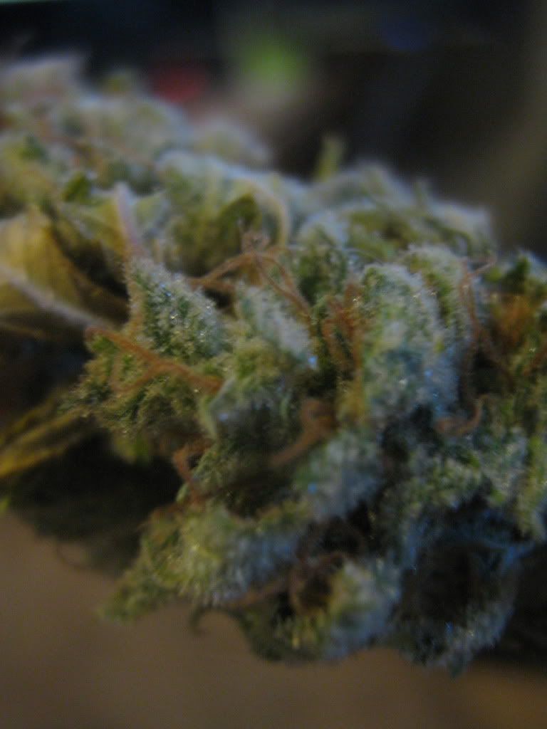 Picture133.jpg
