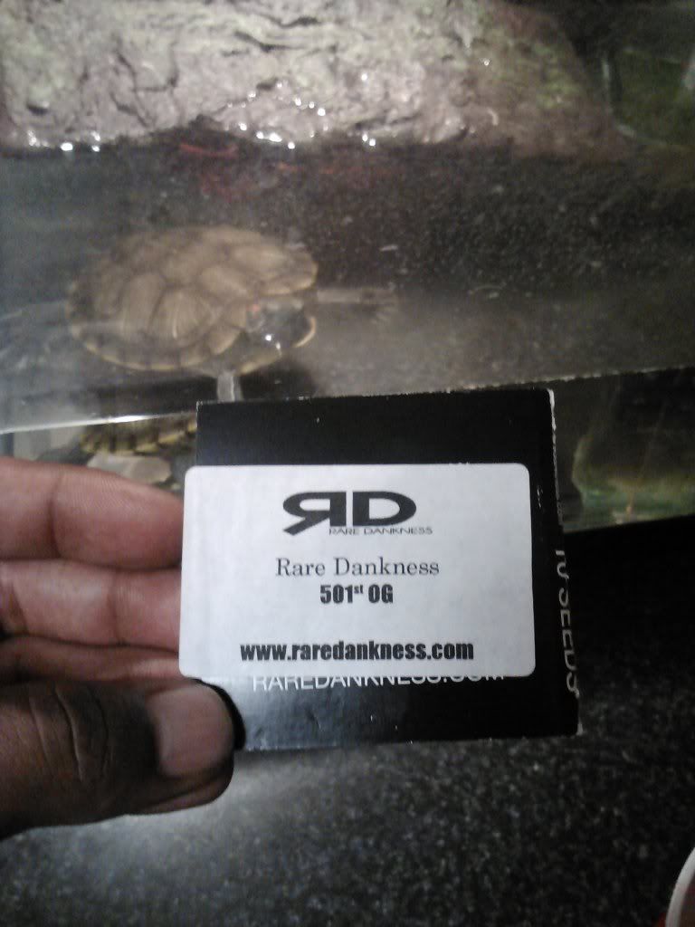 IMG020_zps28d6b83d.jpg