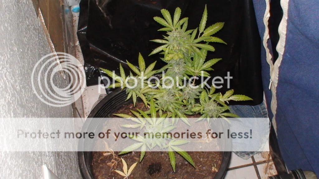 4-20-10.jpg