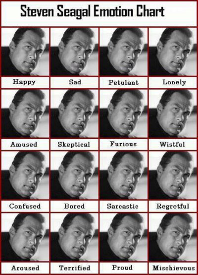 steven_seagal_expressions.jpg
