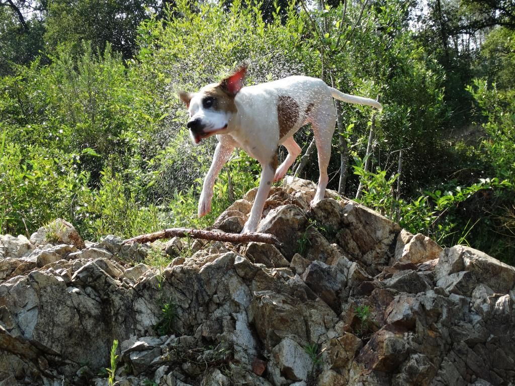 DSC06822_zpsae370159.jpg