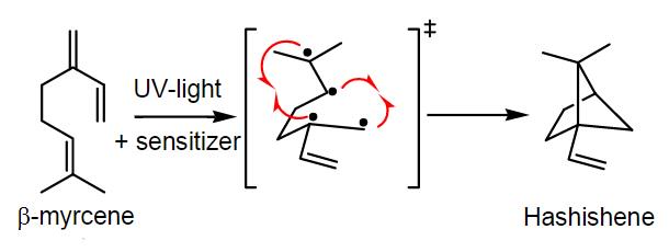 hashishene-synthesis.jpg