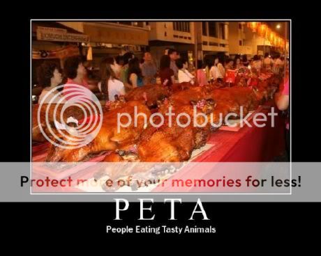 peta.jpg