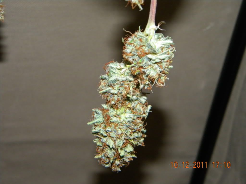DSCN2857.jpg