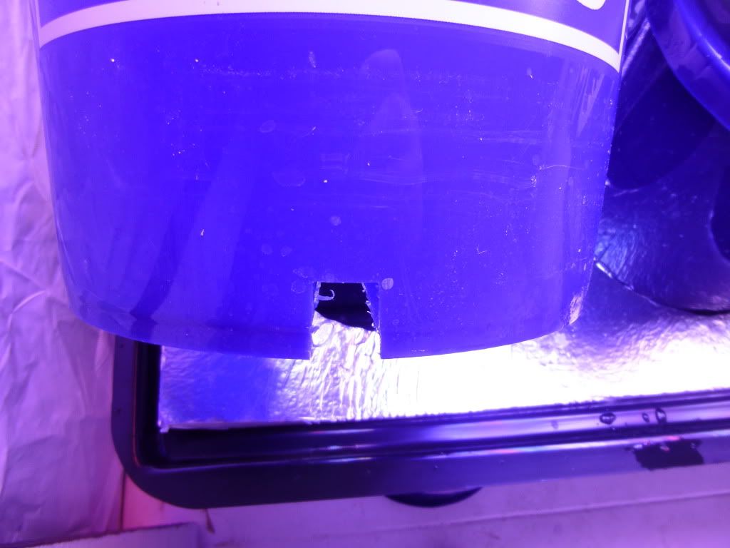 P1010139_zps4d514f0f.jpg