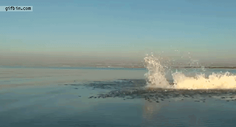 gifs_04.gif