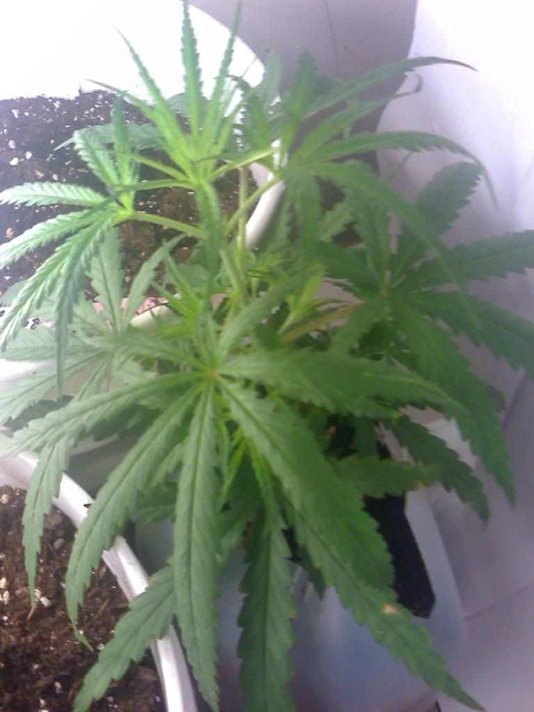 05-11-09_0400.jpg