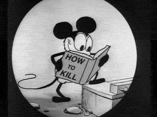 tumblr_m6te5w9Vq01qmsc3co1_500.gif