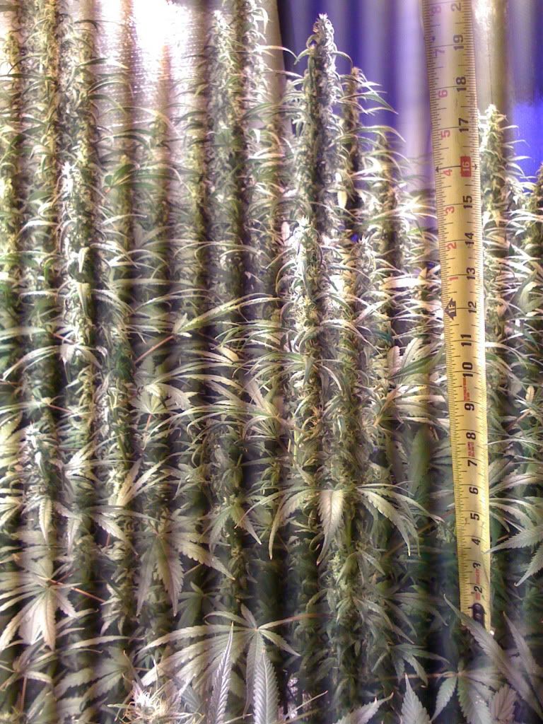 IMG_2120.jpg