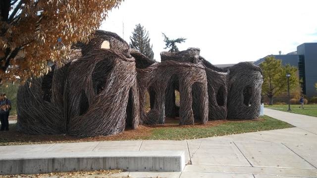 acid_picdump_31.jpg