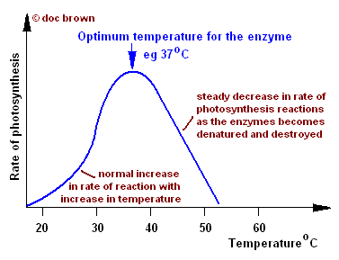 PhotosynthesisGraph3.gif