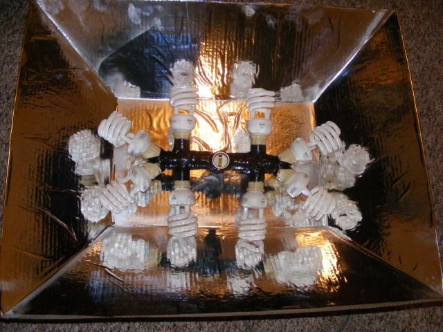 Picture003.jpg
