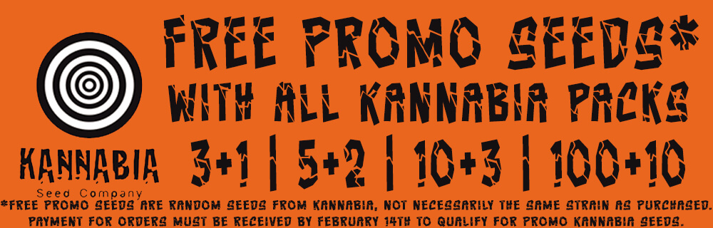 Kannabia_Promo_Seeds_Offer_logo.png