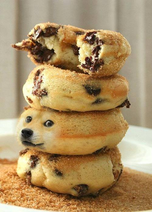 cookiedoge.jpg