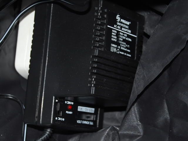 CSC_0989.jpg