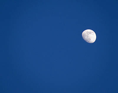 Moon_almostFull_Jan400px.jpg