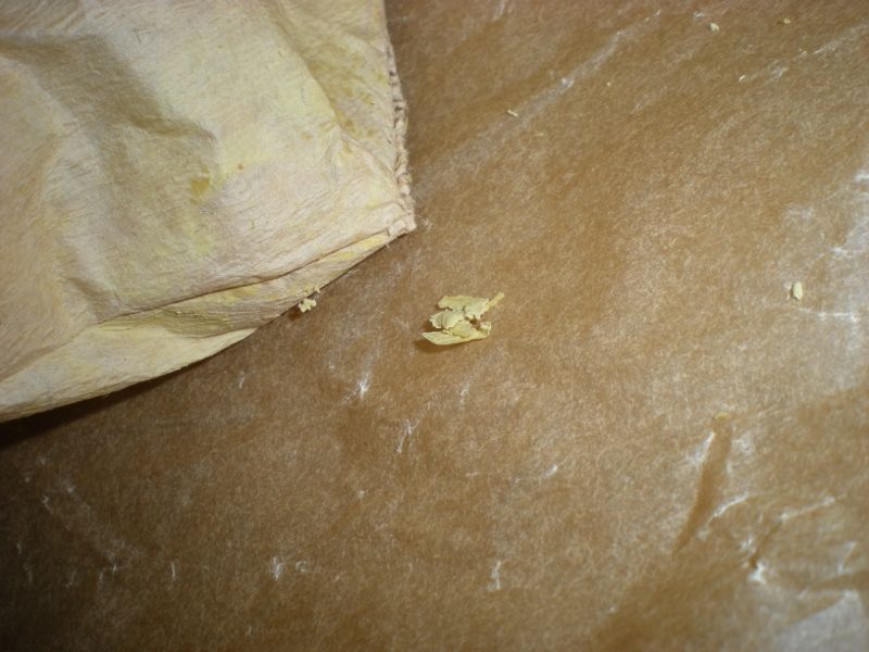 DSCN3701800x600.jpg
