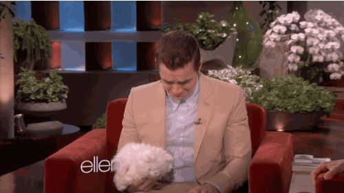 tumblr_n4v1hytE4n1r0pizwo1_500.gif