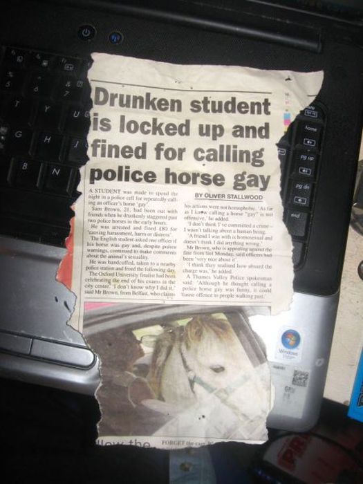 acid_picdump_26.jpg
