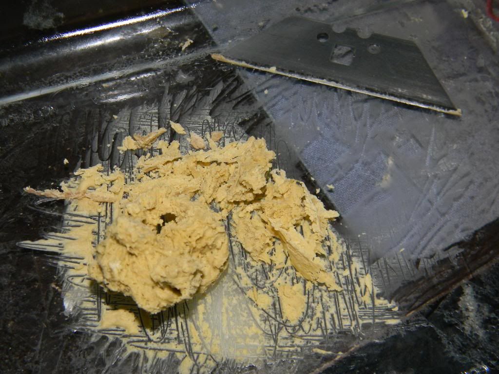 DSCN1131.jpg