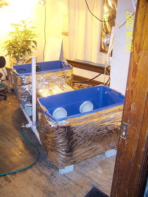000_1620-1.jpg