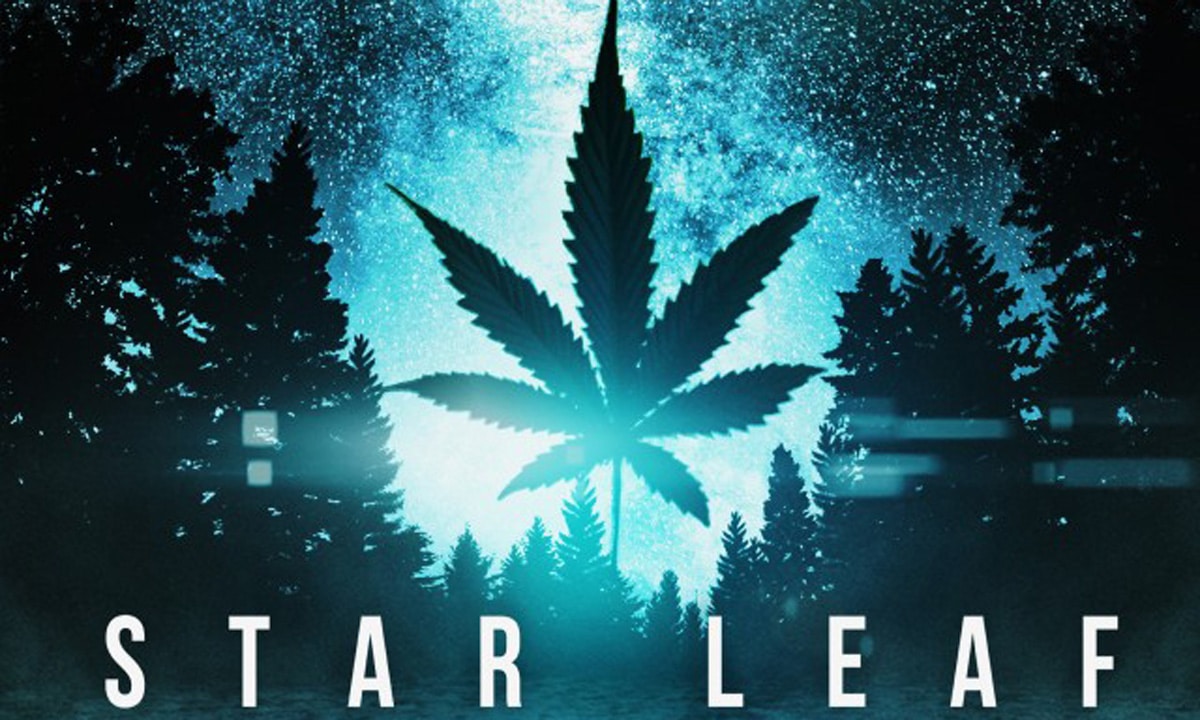 star-leaf-header-1.jpg