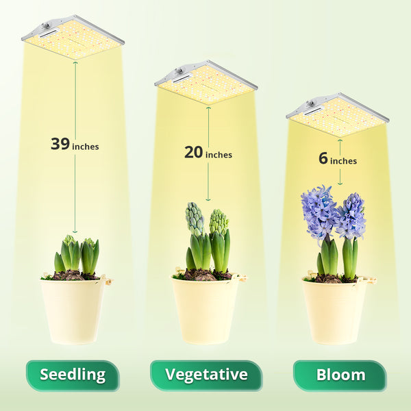 LED grow light plants growing stage