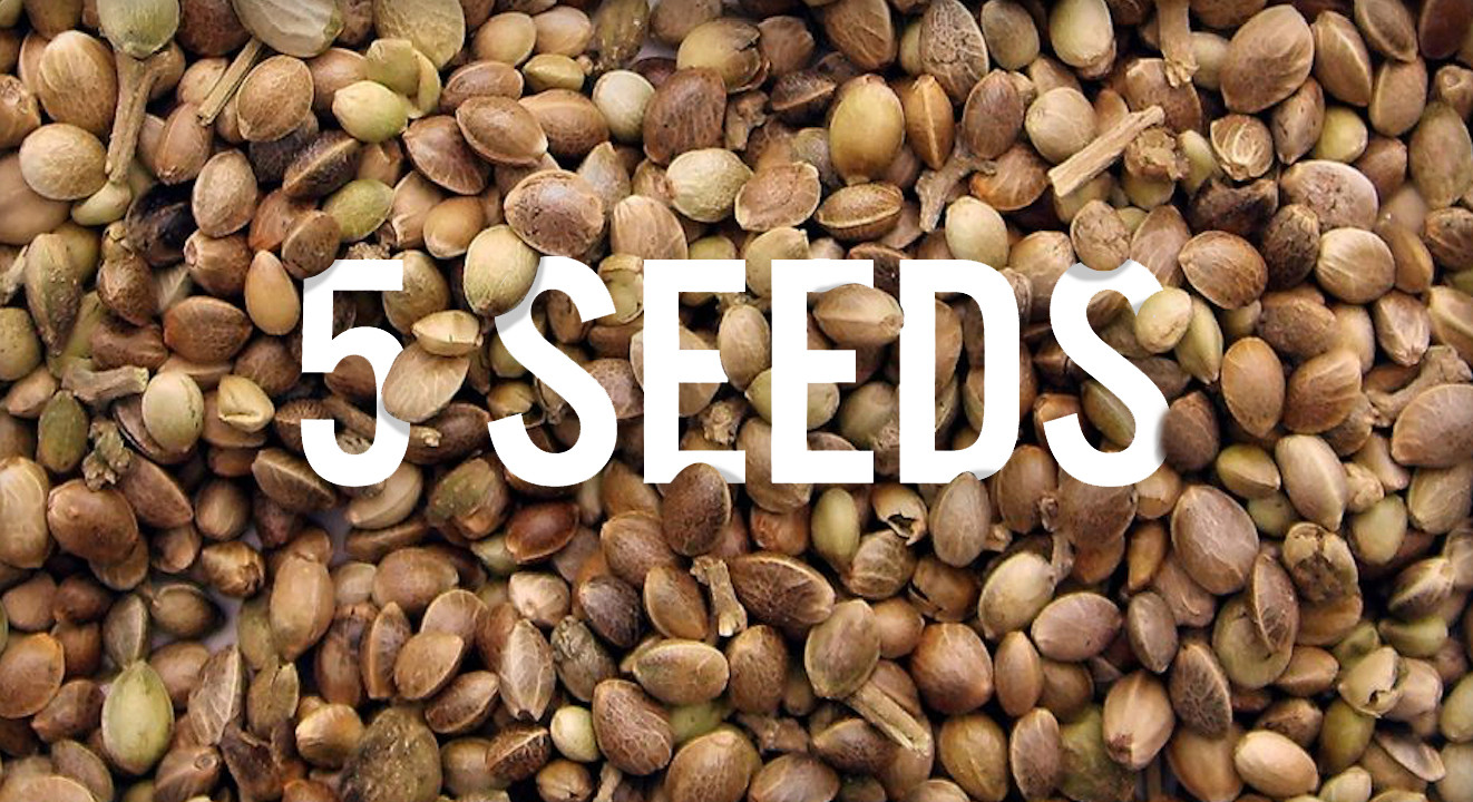 www.5-seeds.com